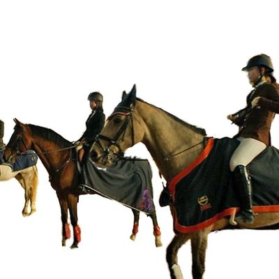 Gedung Struktur Baja Ringan untuk Arena Pacuan Kuda Dalam Ruangan