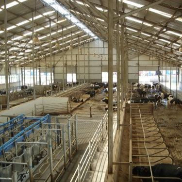 Rumah Unggas Struktur Baja Kustom dengan Pemasangan Cepat