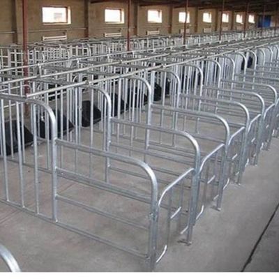 Rumah Unggas Struktur Baja Kustom dengan Pemasangan Cepat